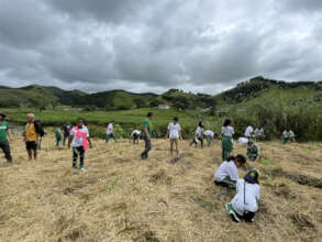 Restoring nature together