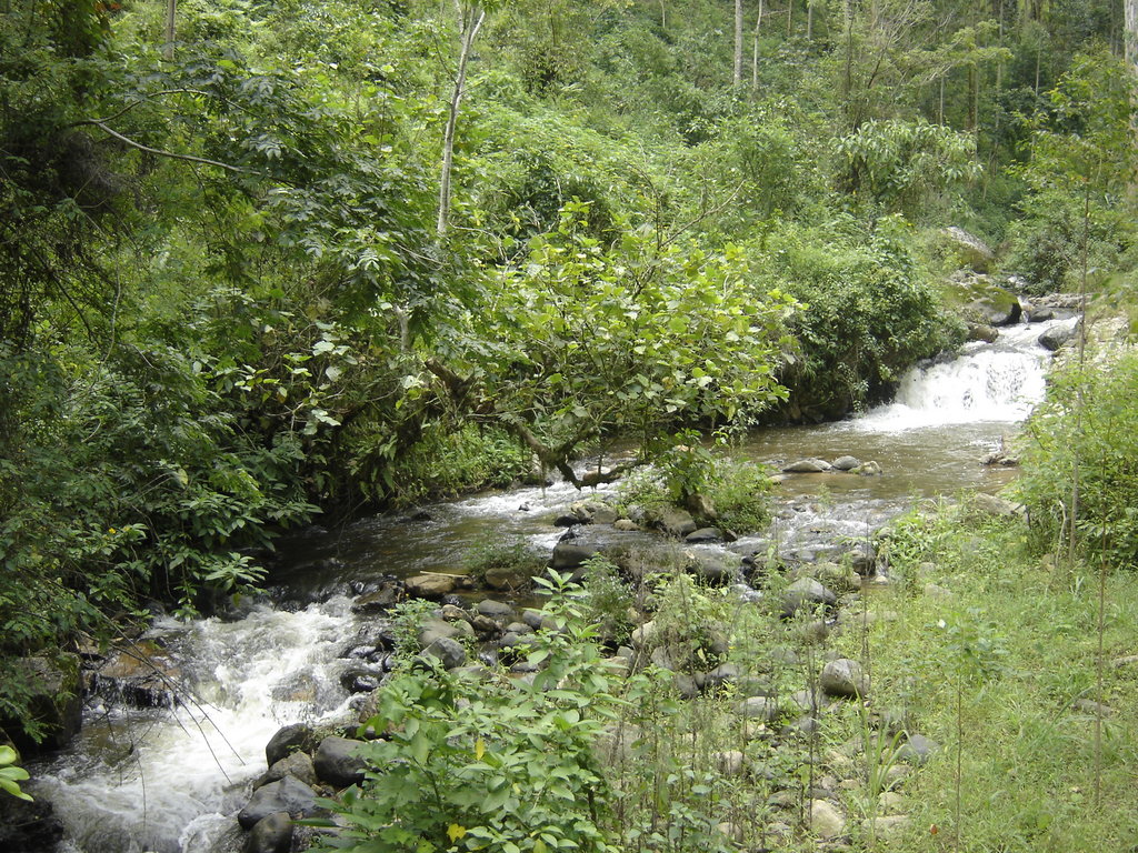 Support Ugandan communities to Conserve Rwenzori