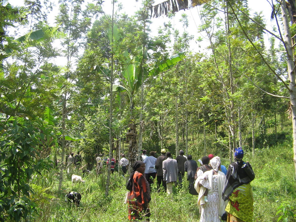 Support Ugandan communities to Conserve Rwenzori