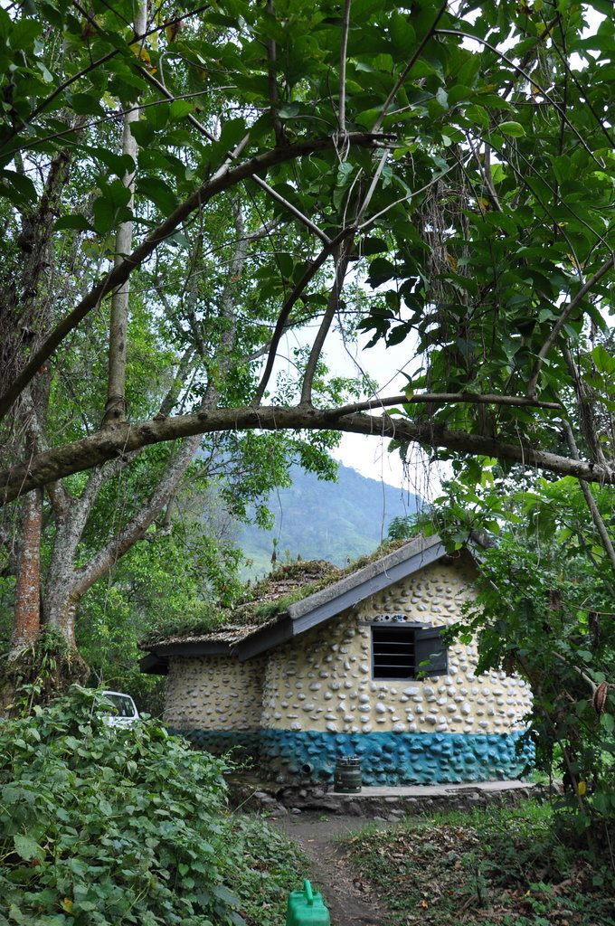 Support Ugandan communities to Conserve Rwenzori