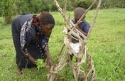  Support Ugandan communities to Conserve Rwenzori