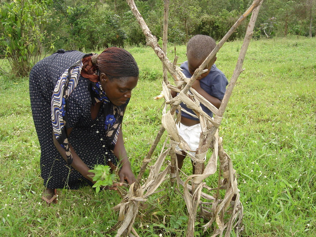 Support Ugandan communities to Conserve Rwenzori