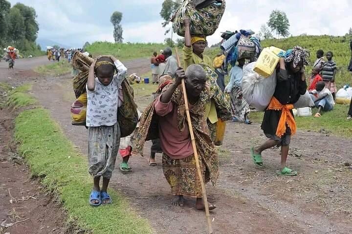 Provide Tents for Displaced Families in DRC