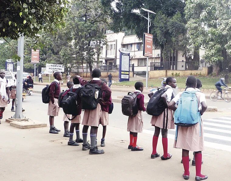 Help Children at Crosswalks