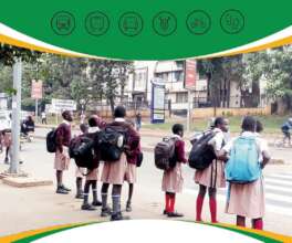 Help Children at Crosswalks