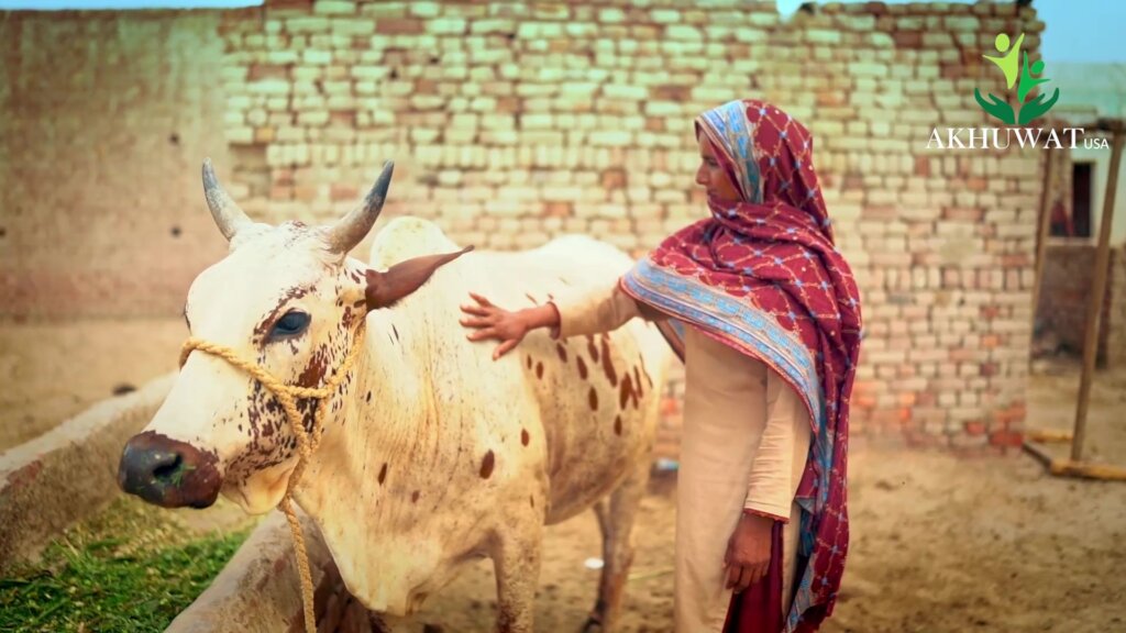 Thriving Women-Led Small Businesses