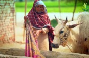 Thriving Women-Led Small Businesses