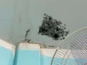 Mould growing on the ceiling