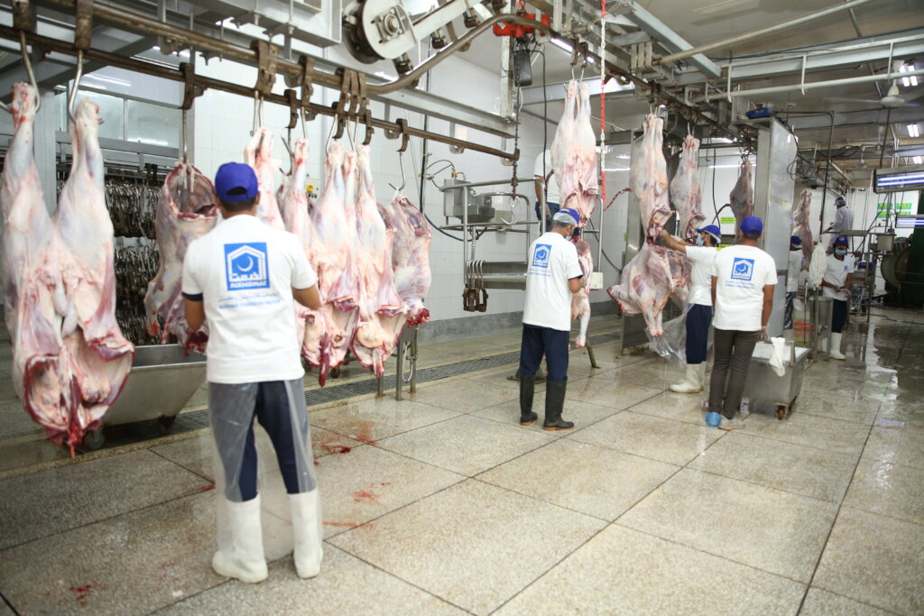 Qurbani for 1000 Orphans in Pakistan
