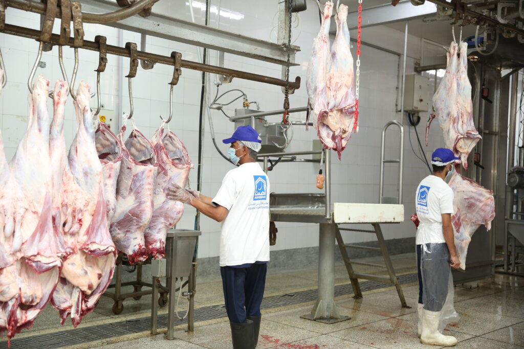 Qurbani for 1000 Orphans in Pakistan