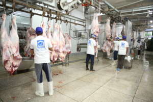 Qurbani with proper hygine