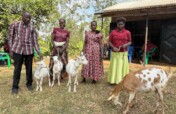 Dairy Goat Pass-On project for Tanzanian Farmers.