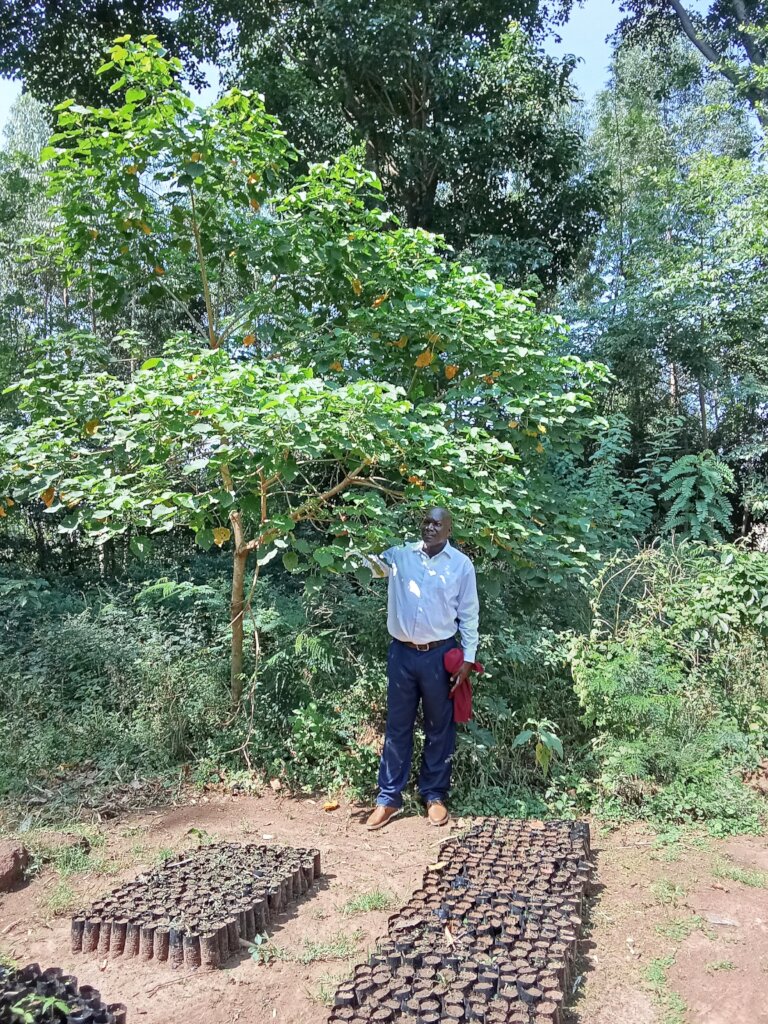 Forester Abunga with Croton Macrostachyus (HIV)