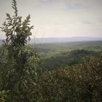 East African Circular Economy Pilots 1: Scoping