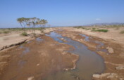 East African Circular Economy Pilots 1: Scoping