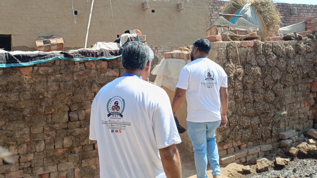 Your Gift Saves Lives: Hepatitis Treatment for All