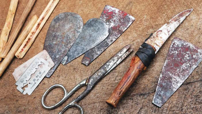 Ending Female Genital Mutilation via Girls' Sports