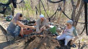 Helping a community nursery of endangered species