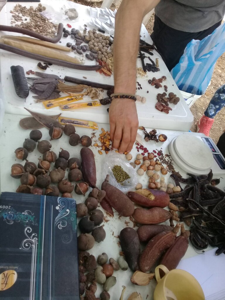 100 Caribbean Families for Climate Action