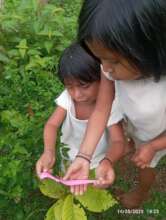 Kogui indigenous community working with seeds