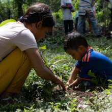100 Caribbean Families for Climate Action