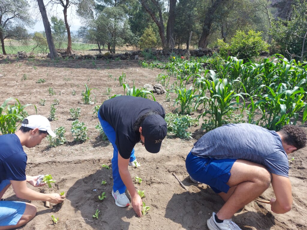 A Holistic Approach to Health in Rural Guatemala