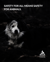 Animal Emergency Response