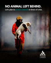 National Animal Emergency Response