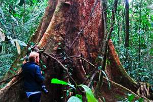 visitor admires the beauty of Camino Verdes trees