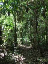 Walking the green road, coordinator Olivia Revilla