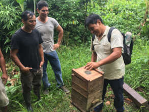 Melipona beehives at La Joya