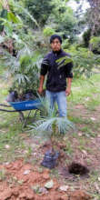 Percy at work