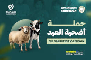 Qurbani for Syria 2025: Your Sacrifice, Their Hope