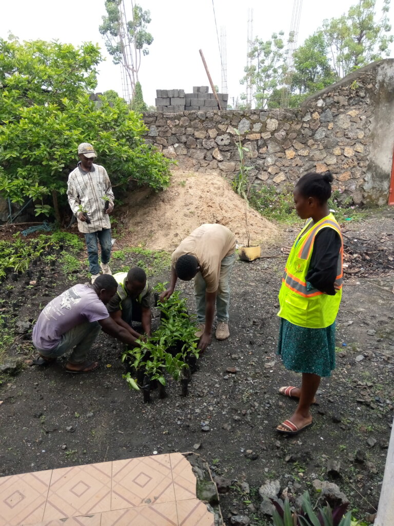 Plant Trees in Goma to Fight Climate Change