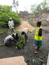 Plant Trees in Goma to Fight Climate Change