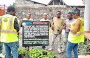 Plant Trees in Goma to Fight Climate Change