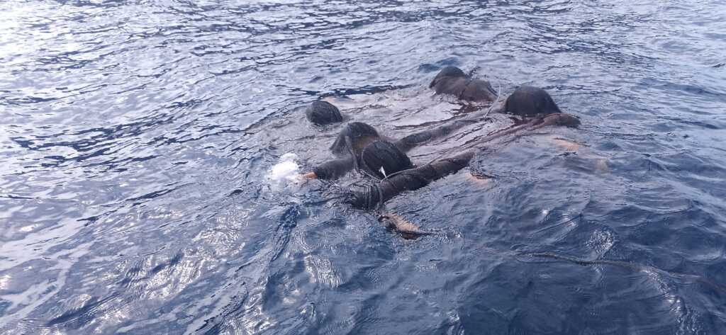 GHOST NETS
