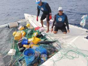 LONGLINES USED BY POACHERS RECOVER BY THE SILKY