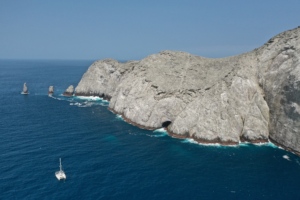 SFF MALPELO