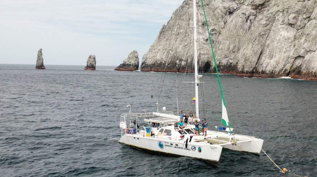 Protect SFF Malpelo, Sanctuary of biodiversity