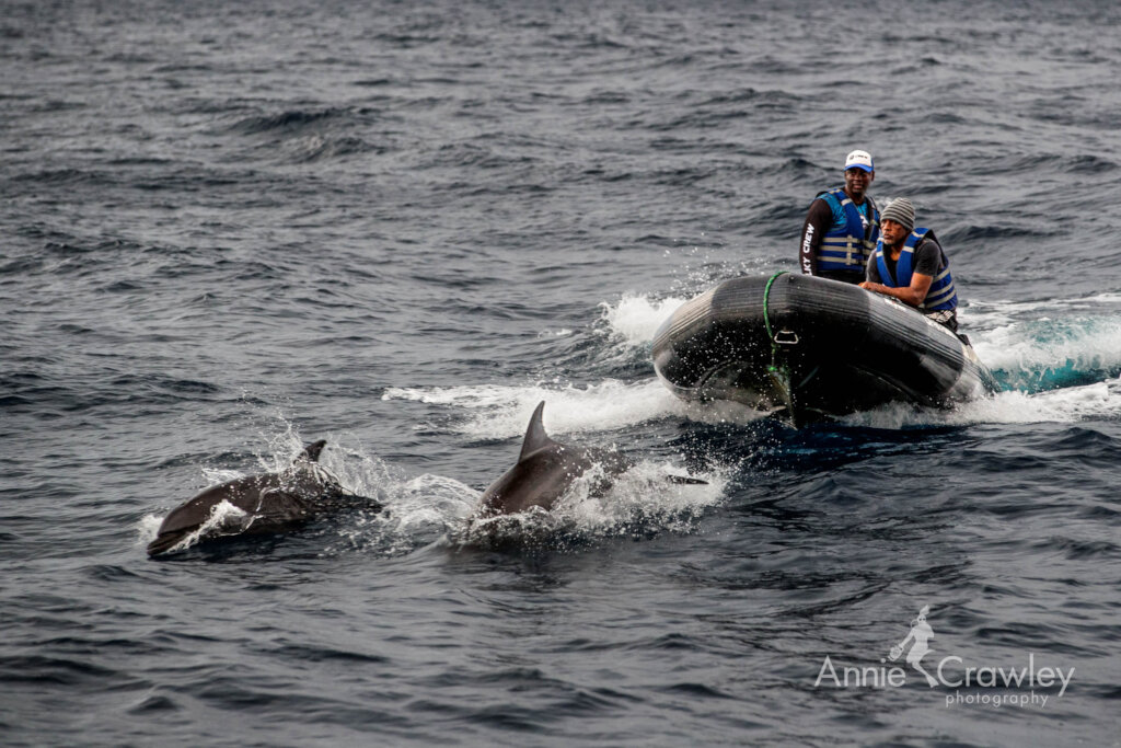 Protect SFF Malpelo, Sanctuary of biodiversity