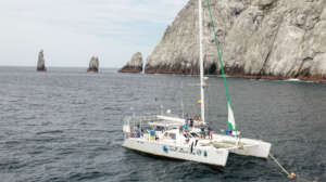CATAMARAN SILKY PATROLLING SFF MALPELO