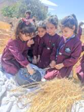 Outdoor activities