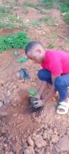 A student planting coffee
