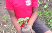 Help Children Grow Crops For Sustainability