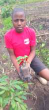 Help Children Grow Crops For Sustainability