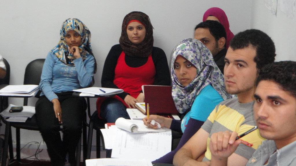 Help 20 Egyptian youth become formally employed