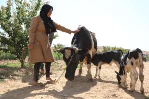 Empowerment Project