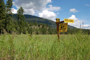 Yaak Mountain Property