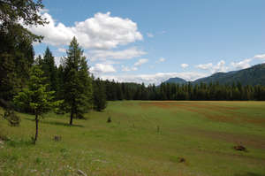 Yaak Mountain Property